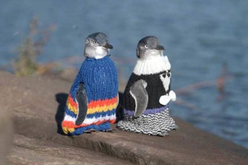 galleries/2011/10/24/best-dressed-penguins/best-dressed-penguins-13_bbqqsd