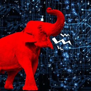 180706-legum-silicon-valley-hero_qbz1eq