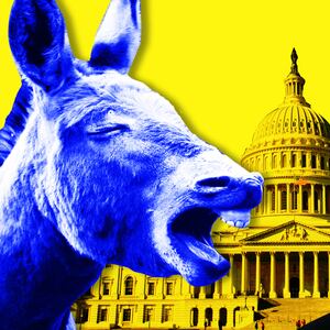 180520-tomasky-dems-hero_ibdcav