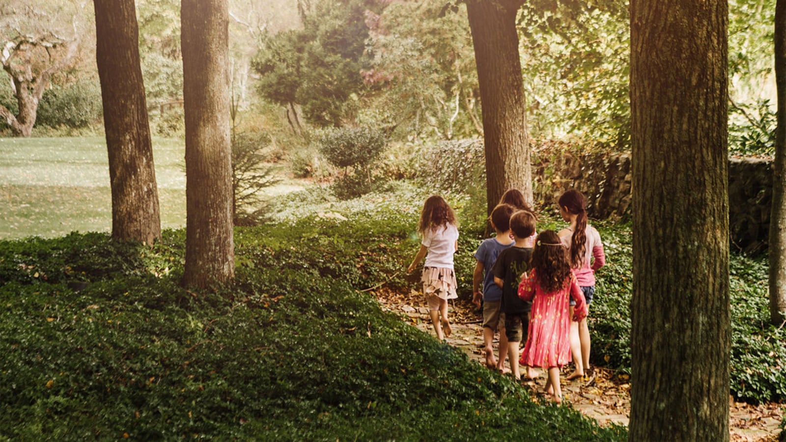 191022-hatmaker-wegrow-tease_wpyfzd