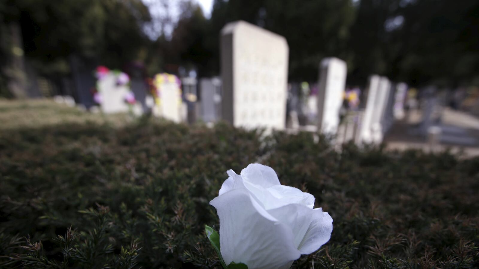 2016-04-02T120000Z_1073393919_GF10000368920_RTRMADP_3_CHINA-RELIGION-TOMBS_qsksq7