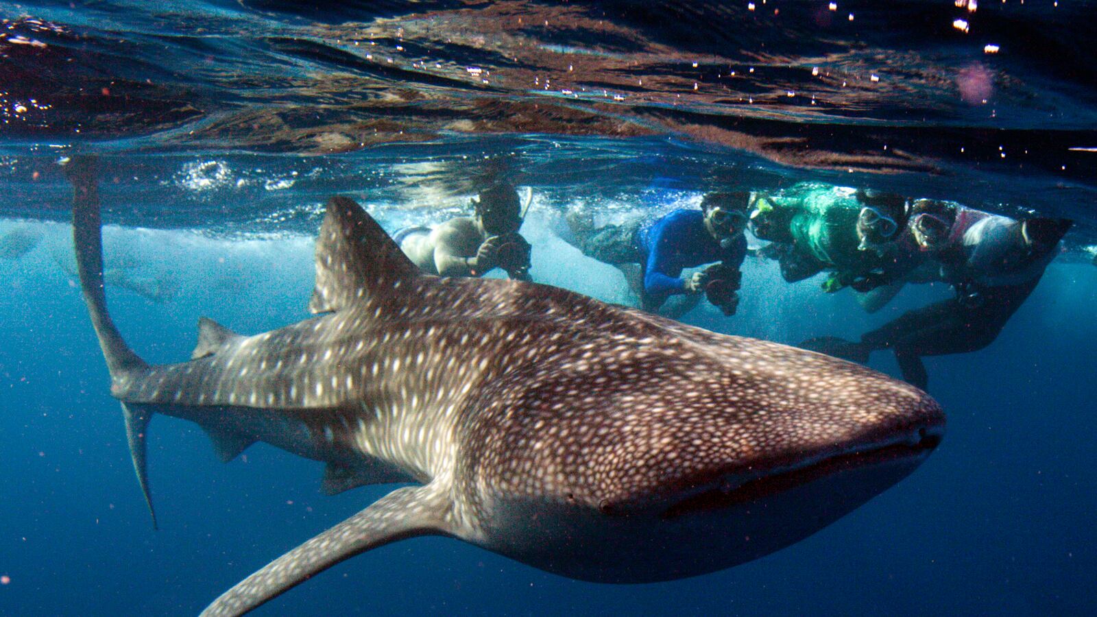 articles/2013/12/24/it-s-a-big-big-world-sights-that-make-you-feel-small/131223-big-world-tease_iu3jv9