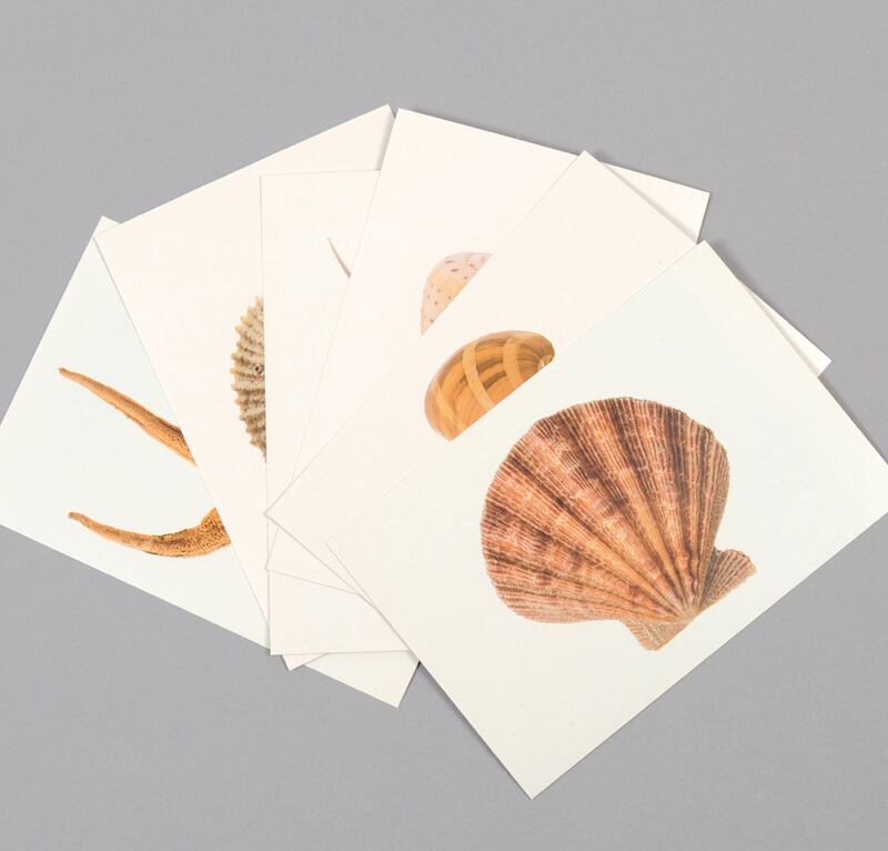 galleries/2012/12/06/2012-gift-guide-travel/guide-shell1440_gakdfy