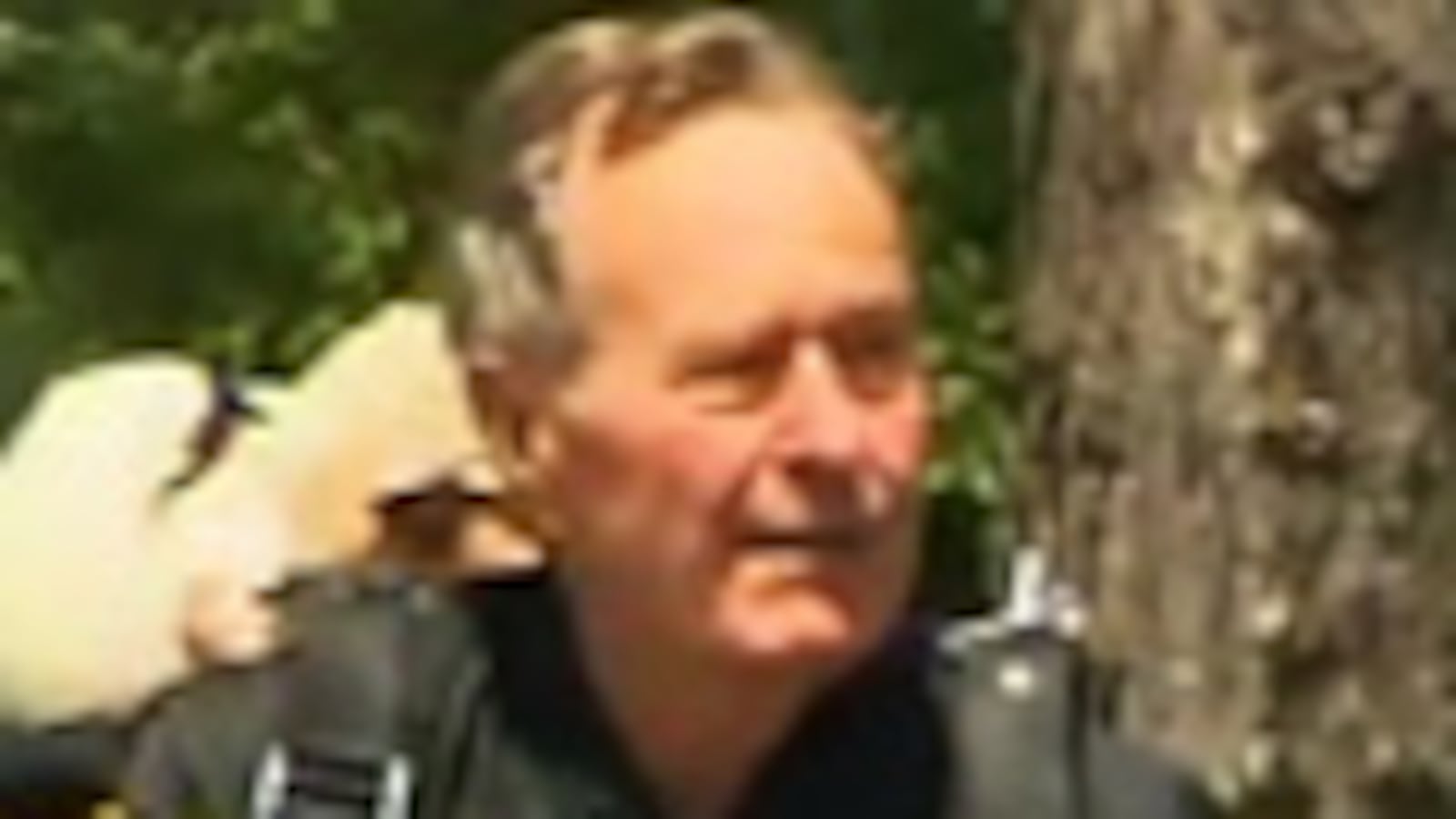 videos/2009/06/12/bush-sr-goes-skydiving/cnn-bush-skydive-thumb_xrwsmm
