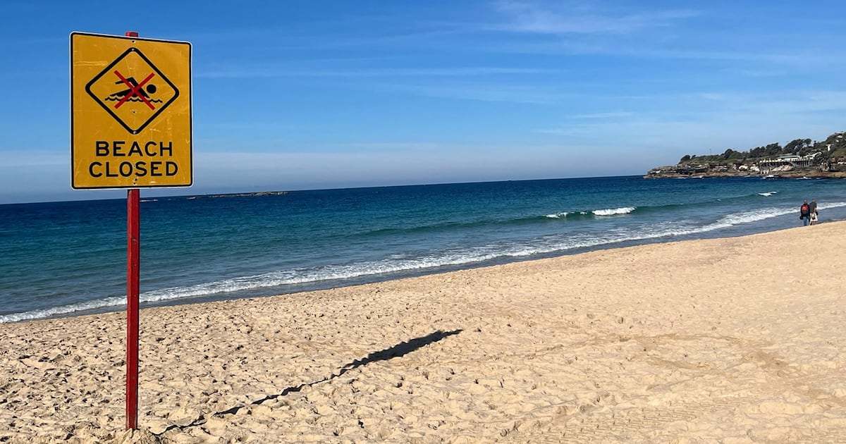 Shark Attack Survivor, 34, Reveals How She Survived Grisly Ordeal
