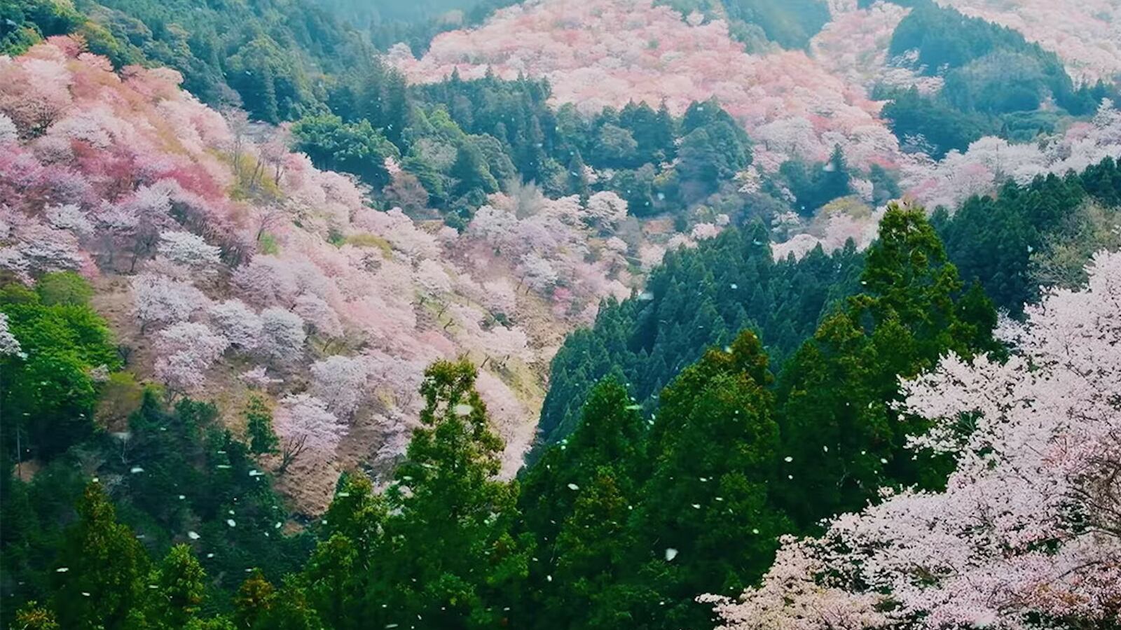 2000930-hbo-max-tease_ujie8c