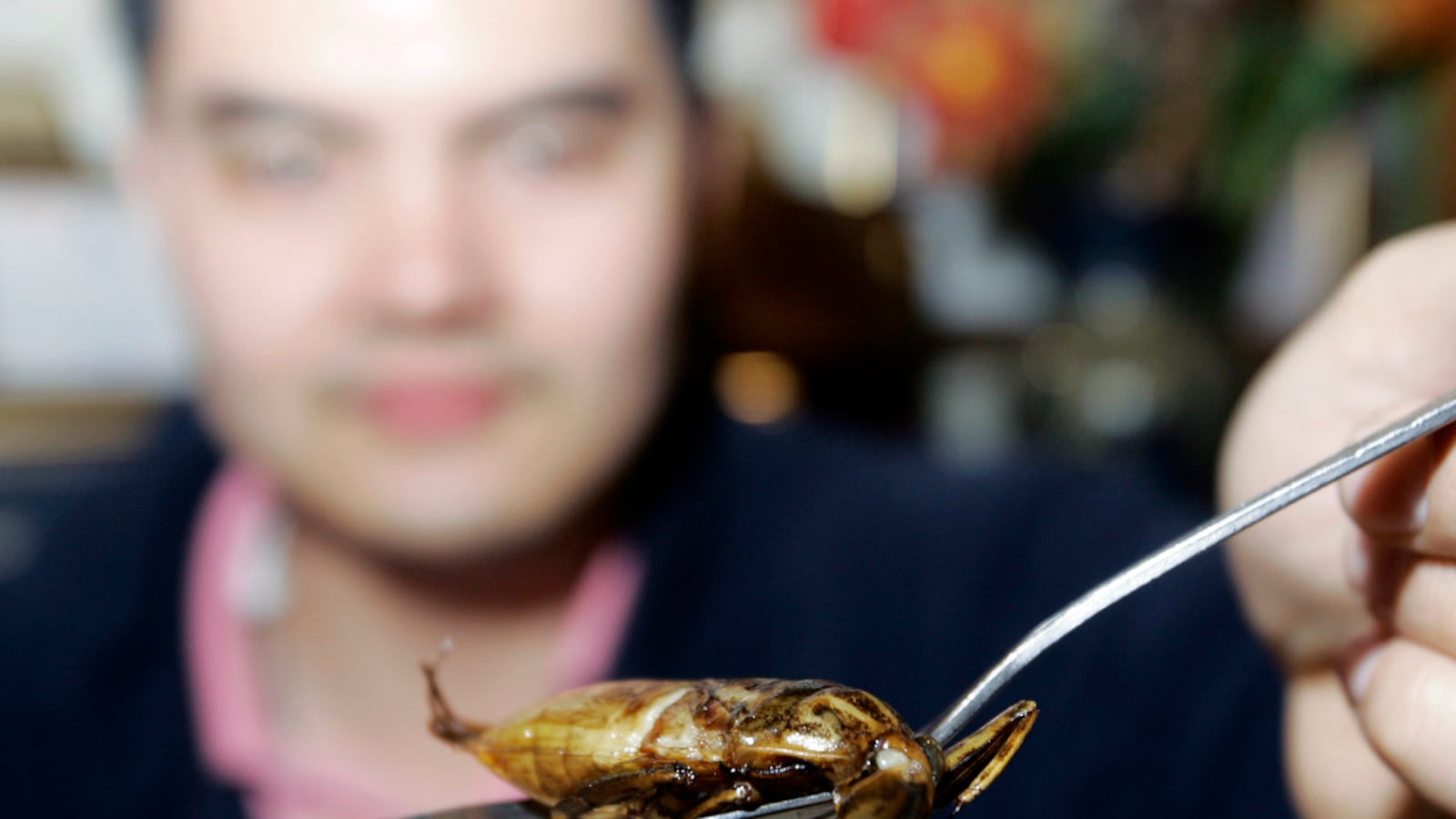 articles/2012/04/24/forget-the-starbucks-backlash-we-should-be-eating-more-bugs/eating-insects-stone_yjufbe