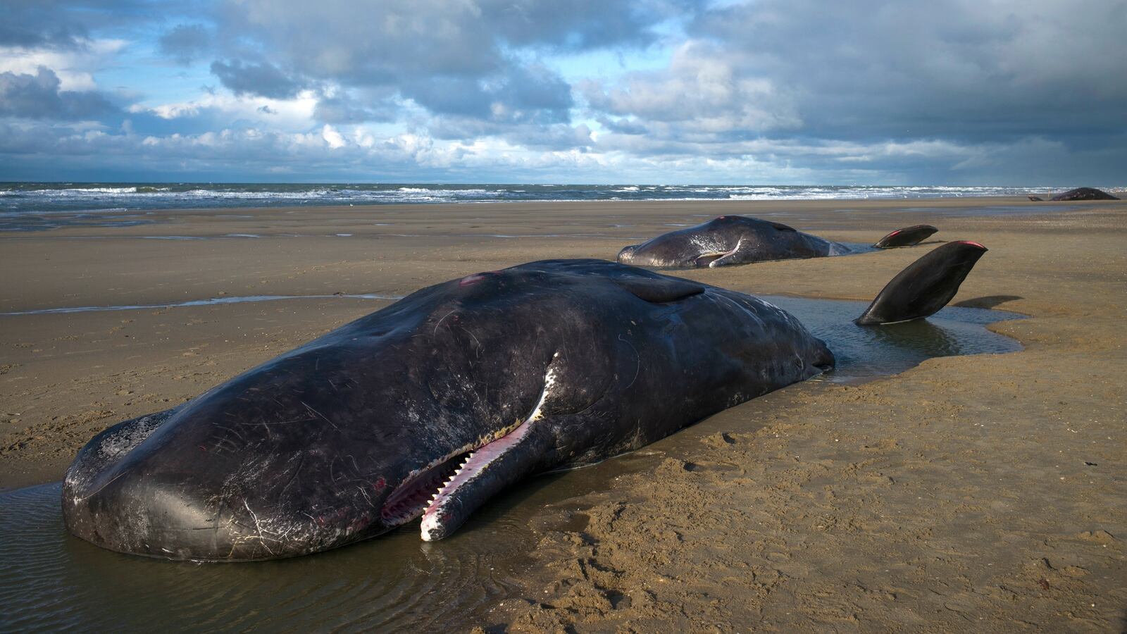 REUTERS_Cris_Toala_Olivares_lxomrc