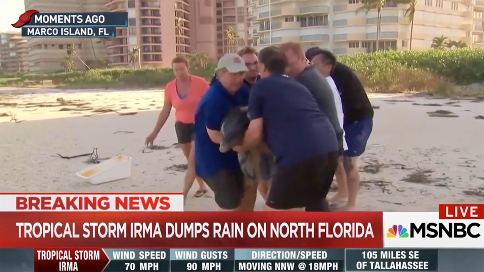 170911-msnbc-dolphins_dluqi1