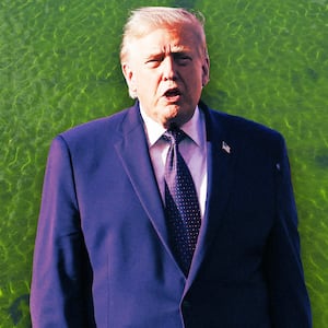 A photo illo illustration of Trump and algae in the D.C. Reflecting Pool.