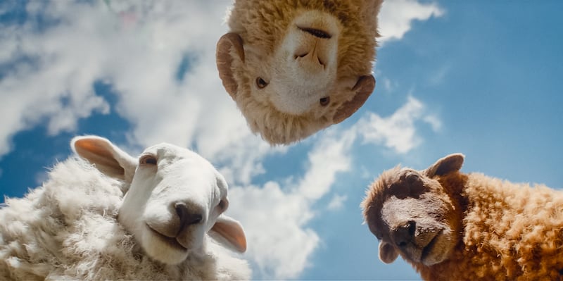 Regina Hall as the voice of Cloud, Chris O'Dowd as the voice of Mopple, and Julia-Louis Dreyfus as the voice of Lily