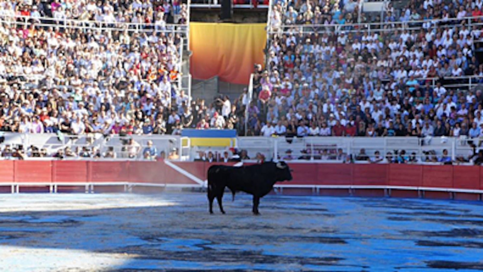 articles/2010/09/30/ena-swansea-paints-arles-bullfight/haden-guest-goyesque_127368_hv8j1e