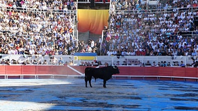 articles/2010/09/30/ena-swansea-paints-arles-bullfight/haden-guest-goyesque_127368_hv8j1e