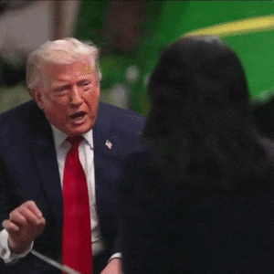 Donald Trump, NBC Interview GIF