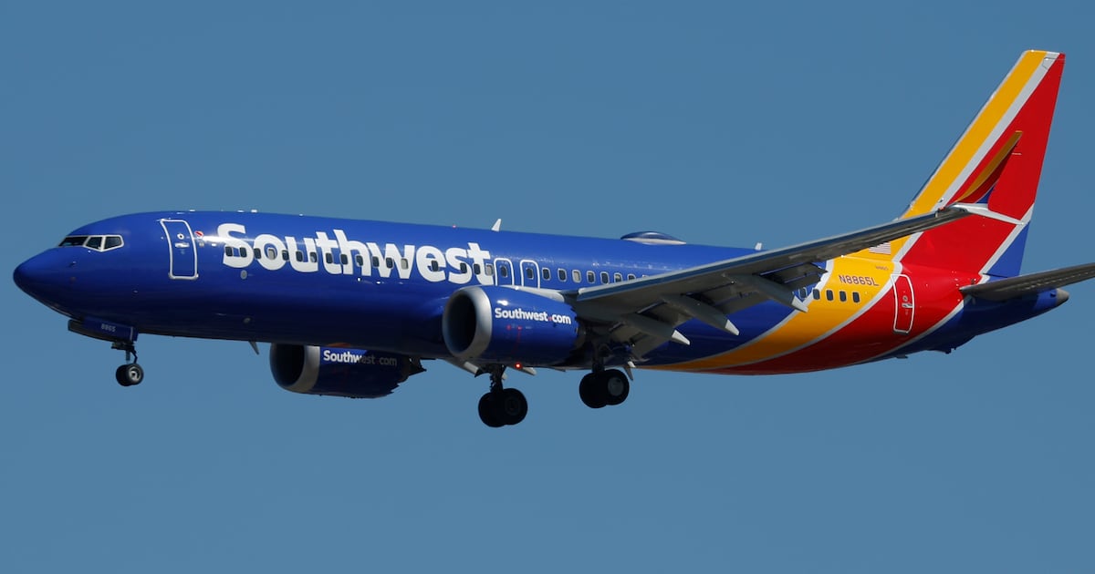 Southwest Flight Disrupted Mid-Journey for Terrifying Arrest
