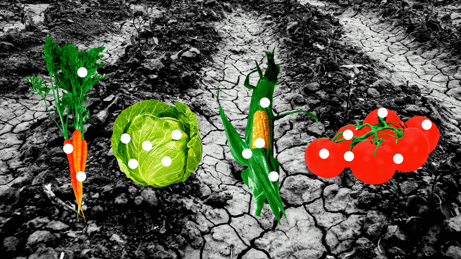 110822-mabe-microbiome-hero_ibwtxy