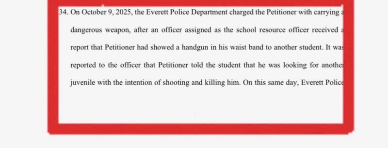 A segment of the court report McLaughlin said related to the child's arrest that she posted online.