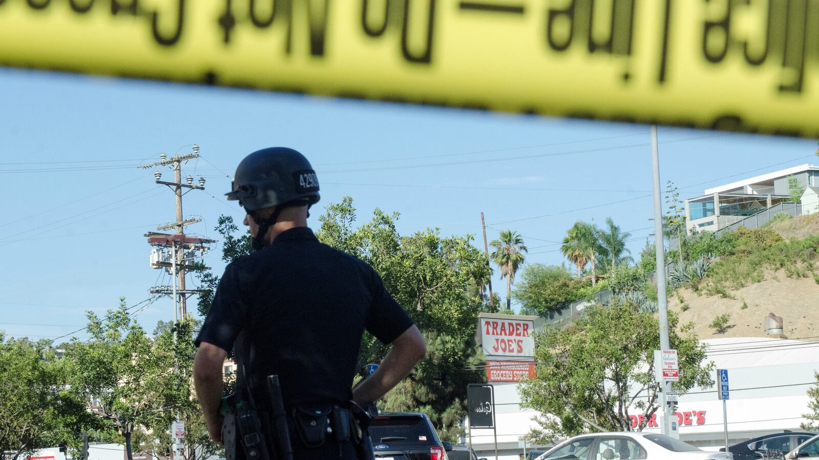 Andrew_Cullen_uztd6q