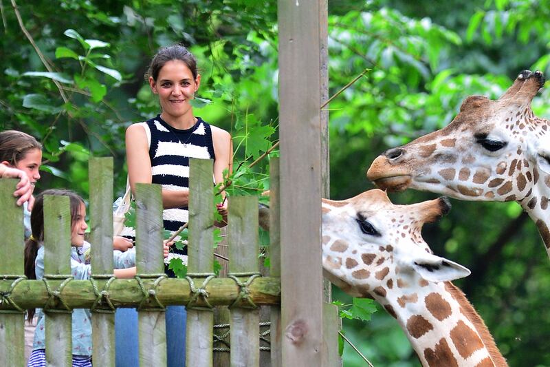 galleries/2012/08/06/11-things-cheaper-than-a-1-250-headband-photos/headband-bronx-zoo_rtqiba