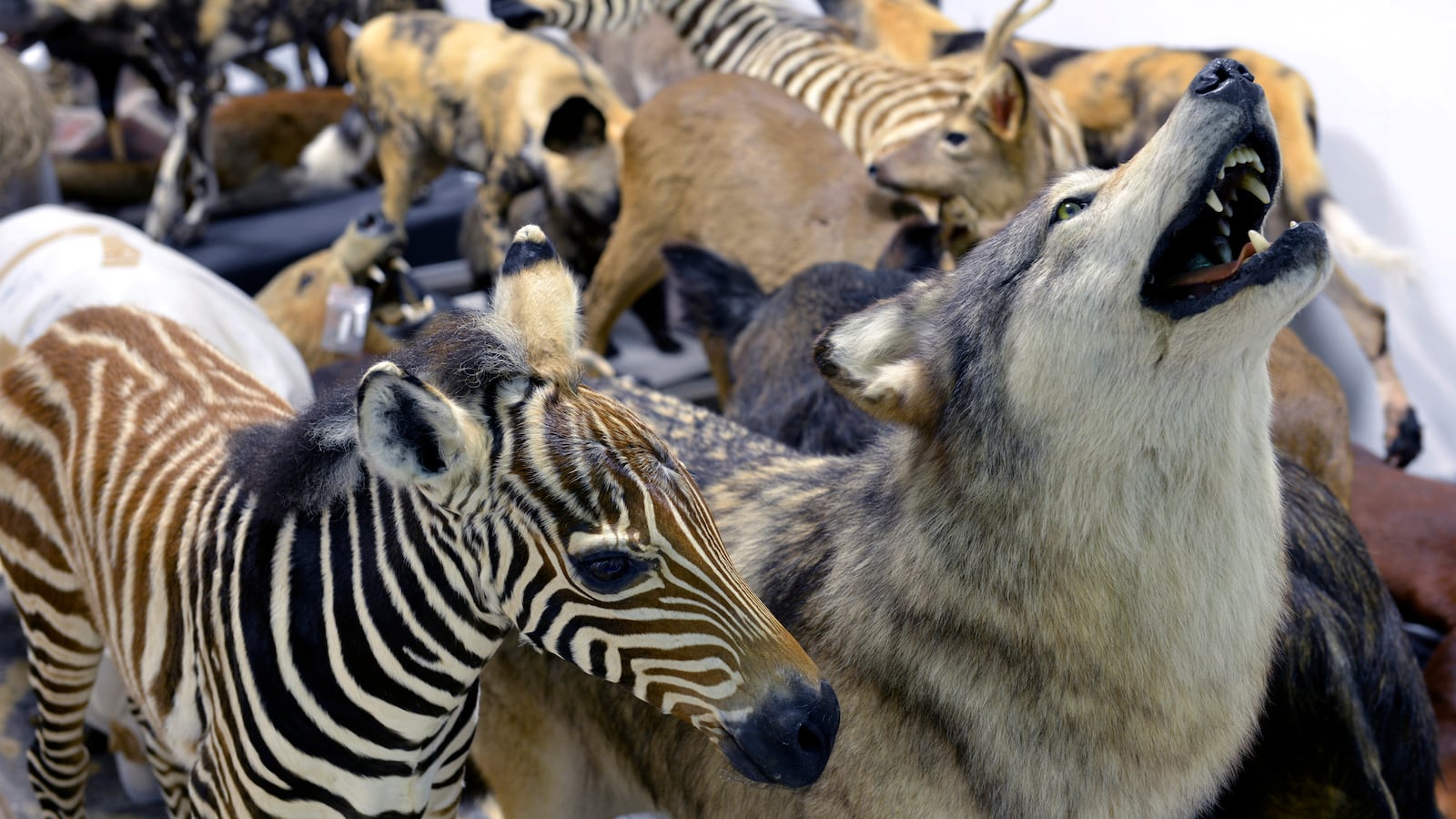 GettyImages-818607612_b7xjes