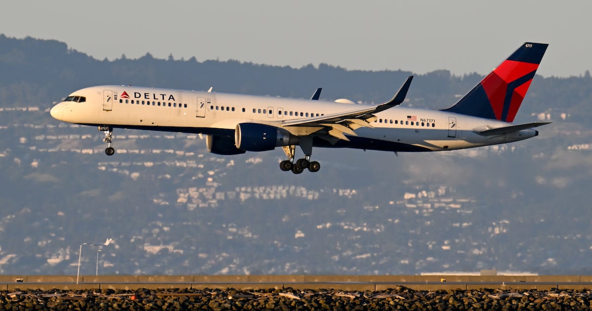 Delta Plane Hit by Fireworks During Fourth of July Landing