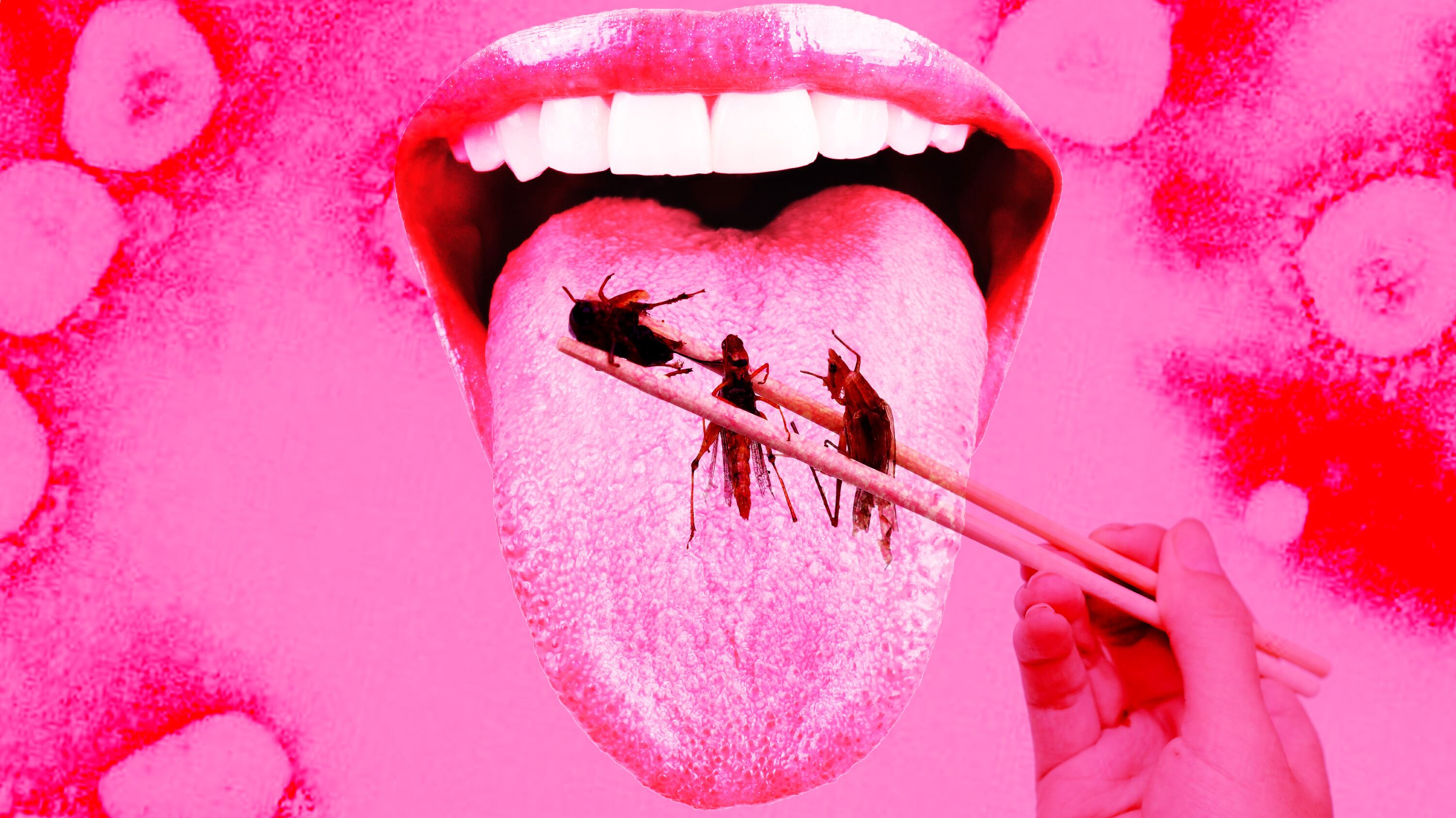 210127-hay-eating-bugs-tease_phdosl