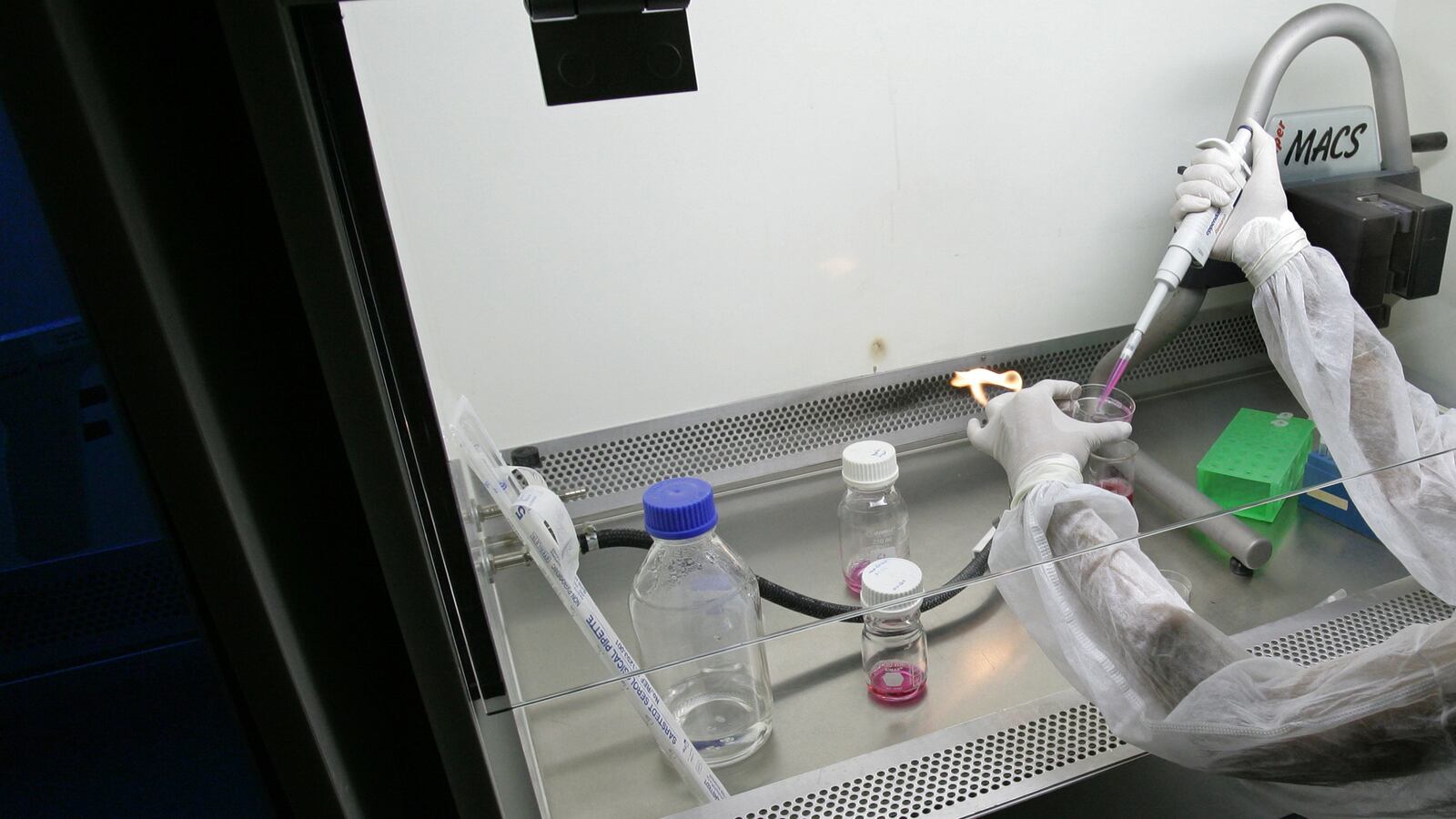 GettyImages-104781467_spxqsv