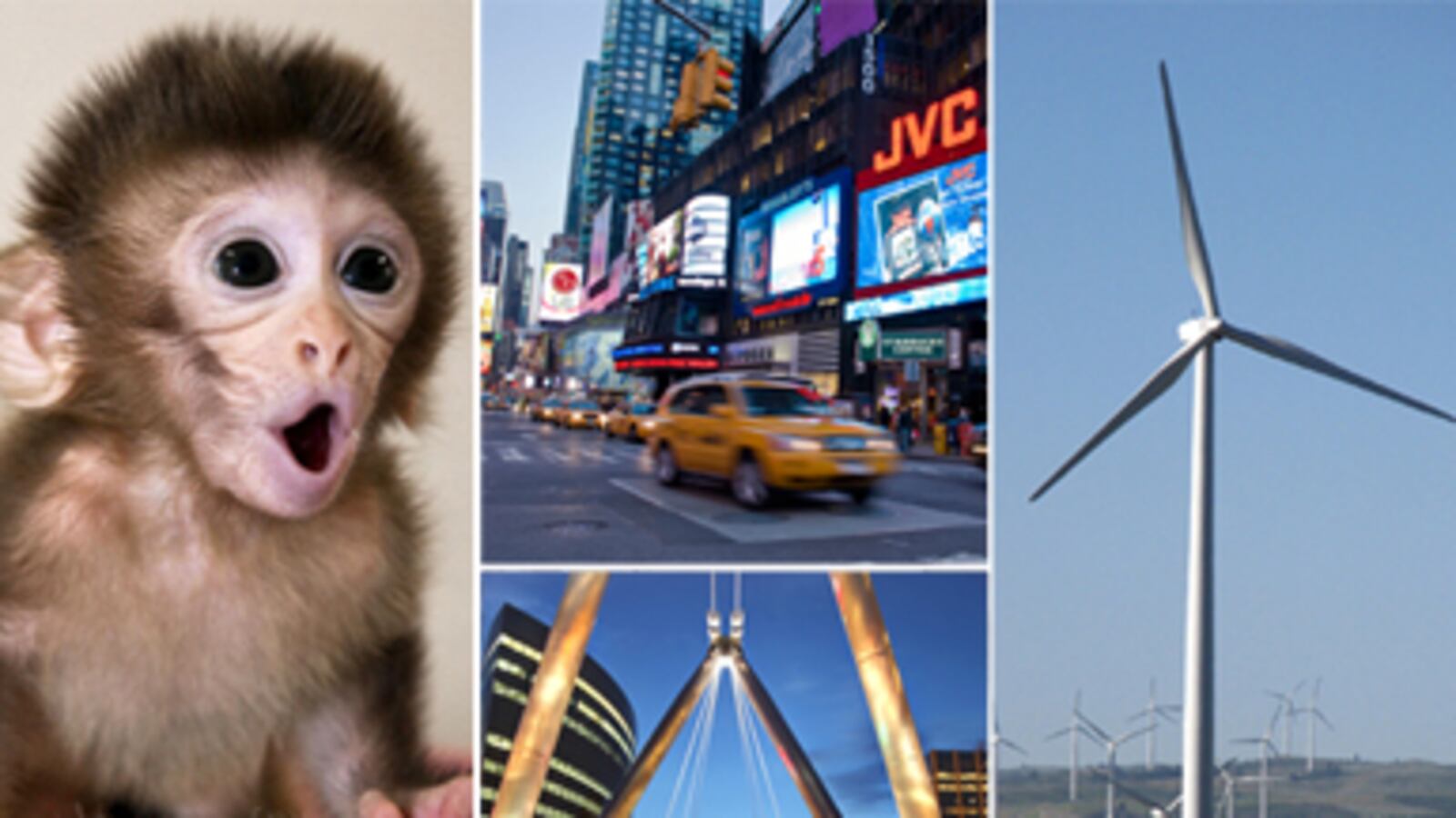 articles/2010/10/20/most-innovative-states-in-america/most-innovative-states_135290_iaqzps