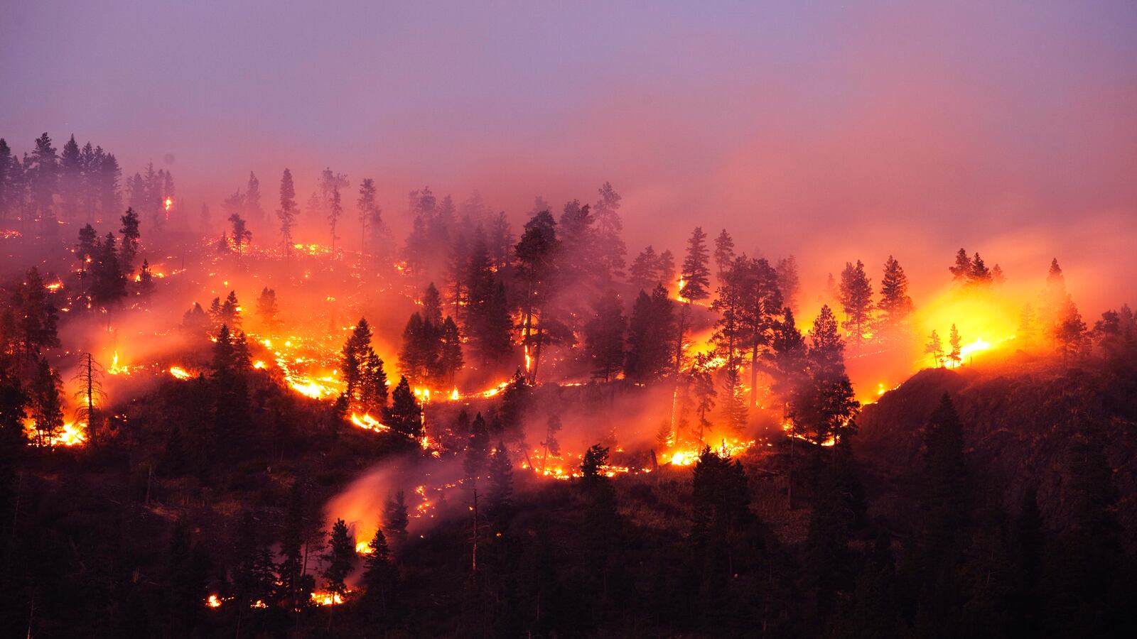 A forest fire burning the side of a mountain in Montana.
