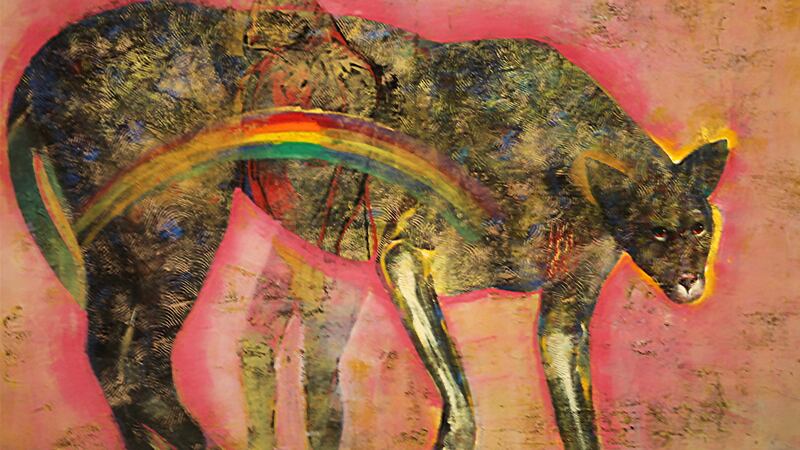 170823-Cat-On-Hill_dyz5nk