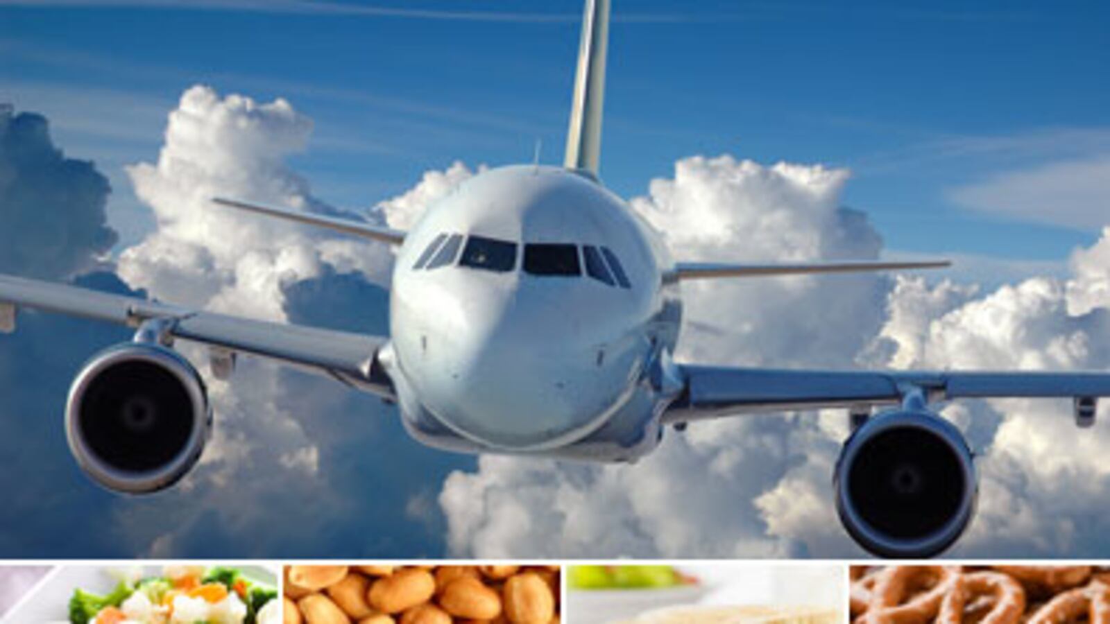 articles/2010/08/02/worst-airline-meals-what-you-should-and-shouldnt-eat-while-flying/airline-food_115516_aykmrn