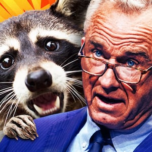 A photo illustration of a screaming raccoon and RFK, Jr.