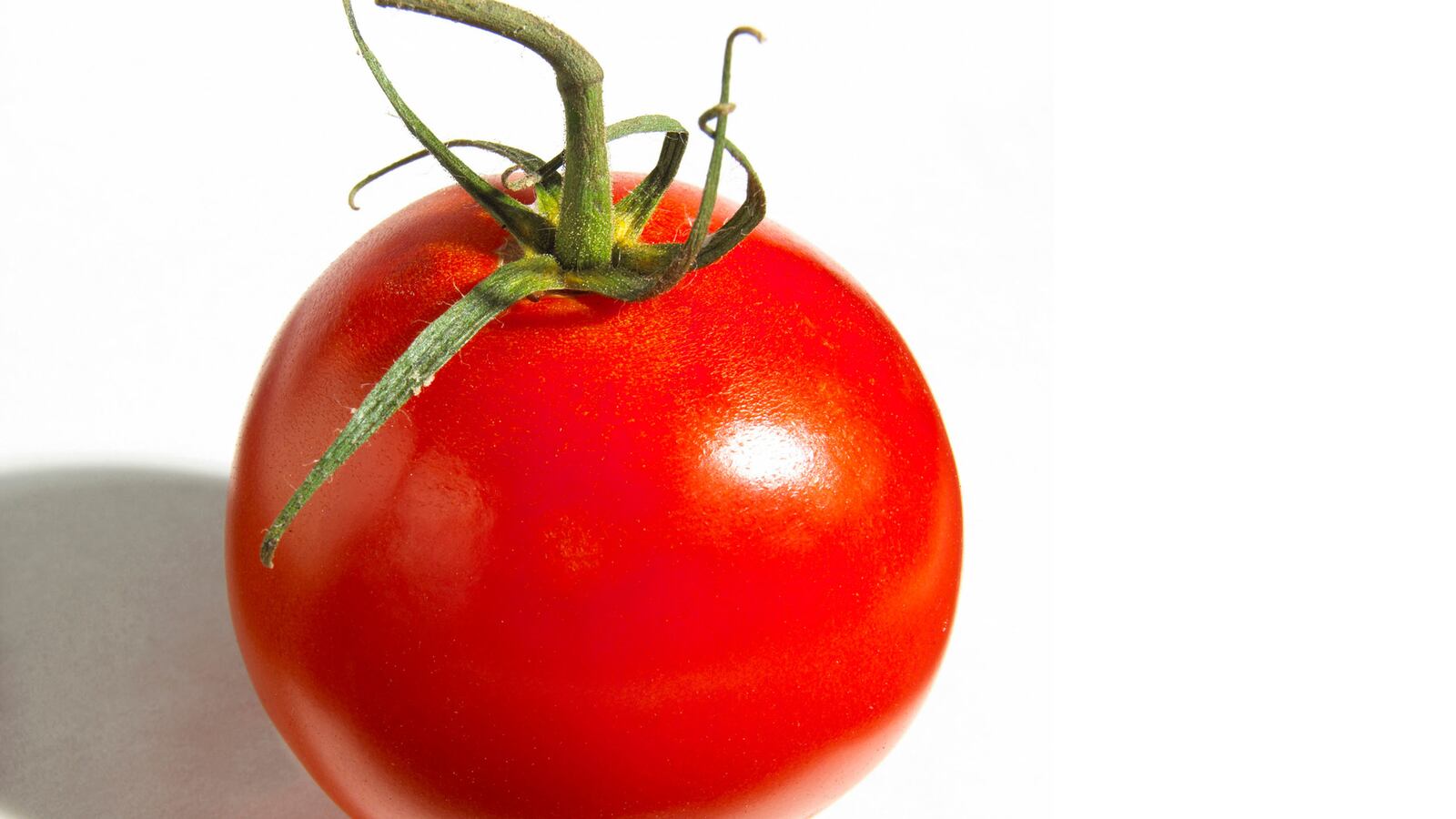 articles/2014/06/10/a-tomato-a-day-keeps-the-doctor-away/140610-tomato-lytton-tease_rdy4ai