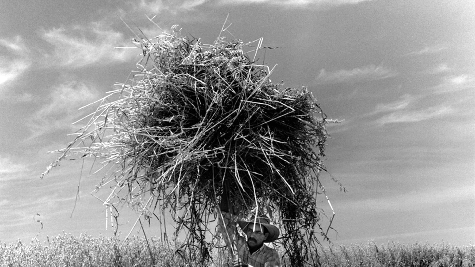 articles/2012/06/16/inside-the-food-basket-valley-of-shadows-and-dreams/america-s-fraught-food-basket-jones-tease_zxrxjq