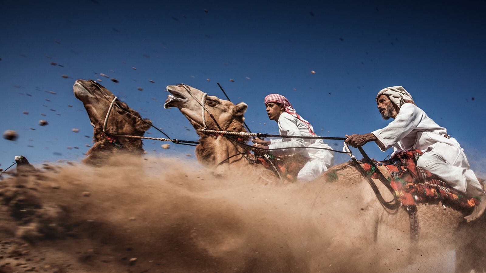 galleries/2015/08/04/see-the-world-via-nat-geo-photo-contest-winners/150804-nat-geo-03_btnlht