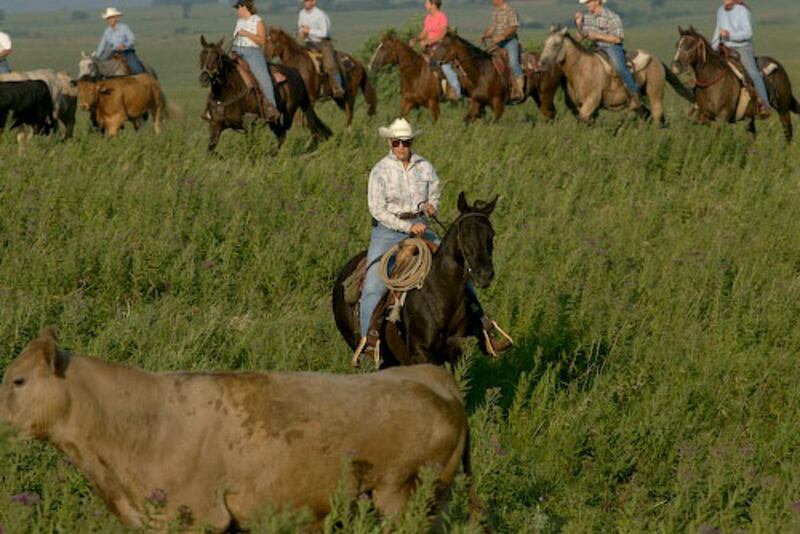 galleries/2010/07/08/an-american-prairie-feast/summer-food-kansas-10_umnfi0