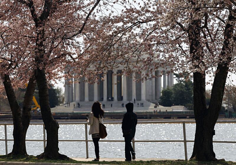 galleries/2011/05/03/al-qaeda-s-retaliation-targets/al-qaeda-retaliation---washington-dc_nayqs5