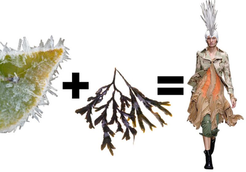 galleries/2009/12/18/fashion-s-hidden-equation/fashematijunya-watanabe_txqqqq