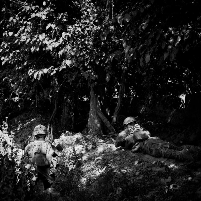 galleries/2011/05/04/john-mchugh/john-mchugh-14_lypf9q