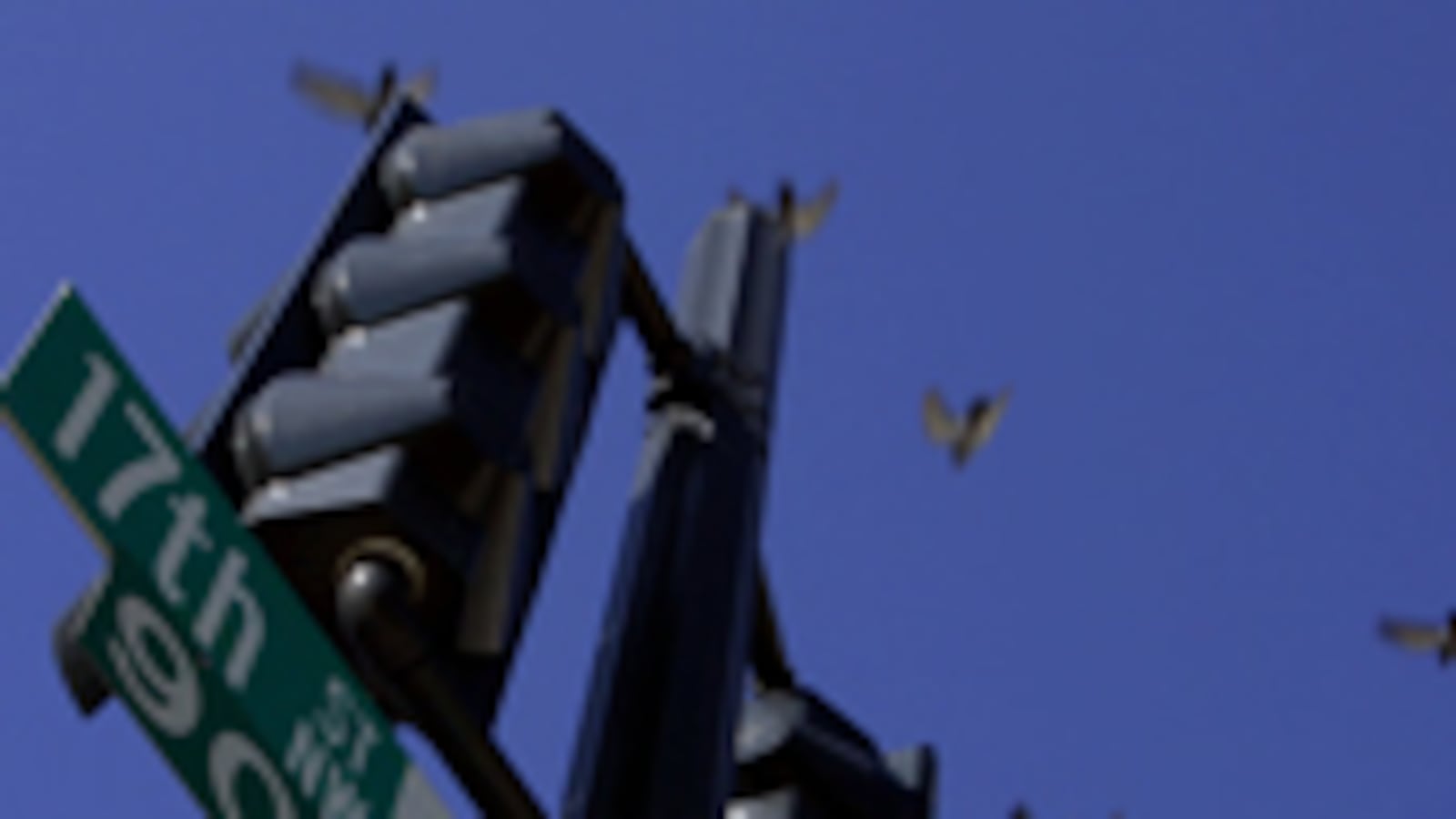 articles/2008/12/03/in-defense-of-sleazy-lobbyists/keen-k-street-lobbyists_6489_fupvma