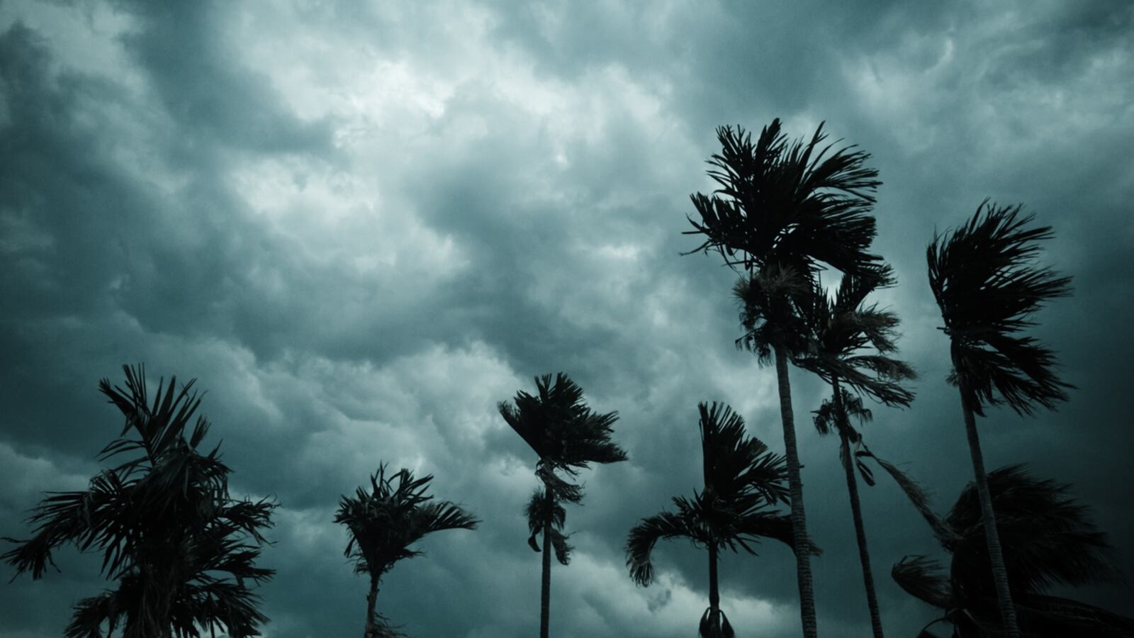 iStock-1322717990_bqo4ax