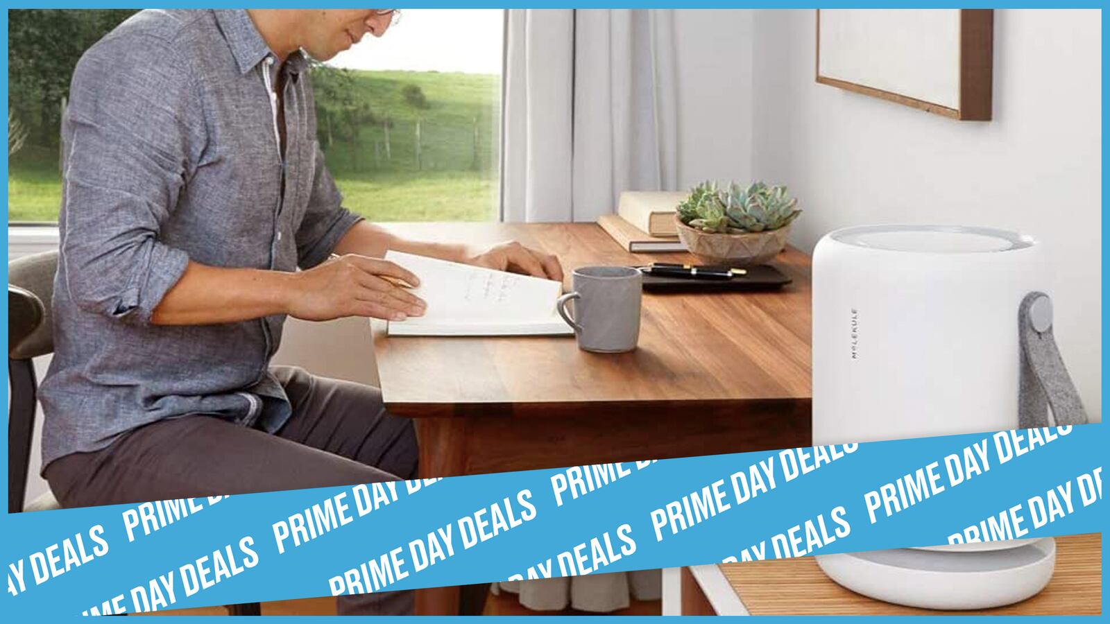 molekule_hero_hbcc66