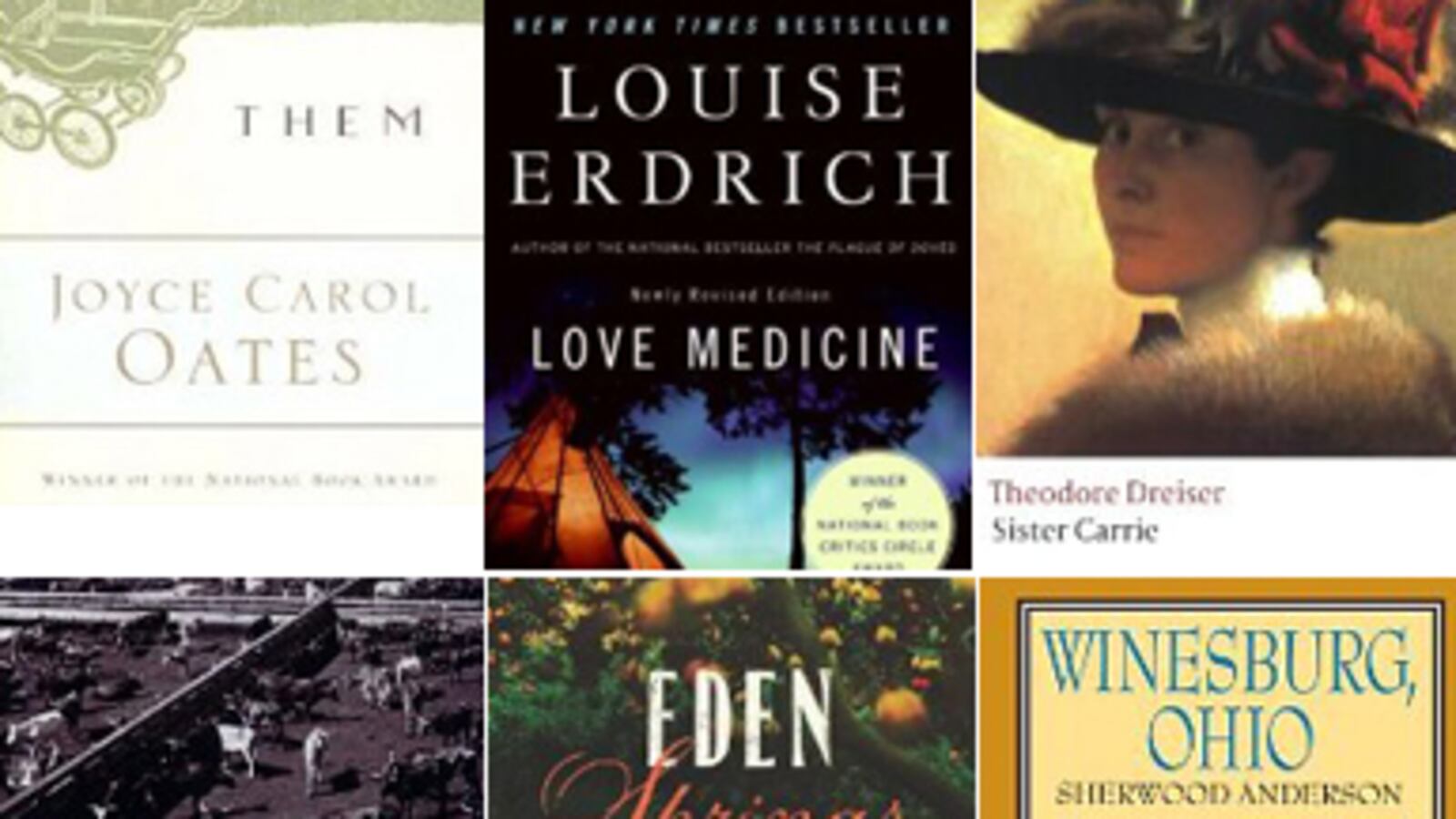 articles/2011/01/30/best-novels-on-the-midwest-from-franzen-to/clark-midwest-novels_156810_vpyazh