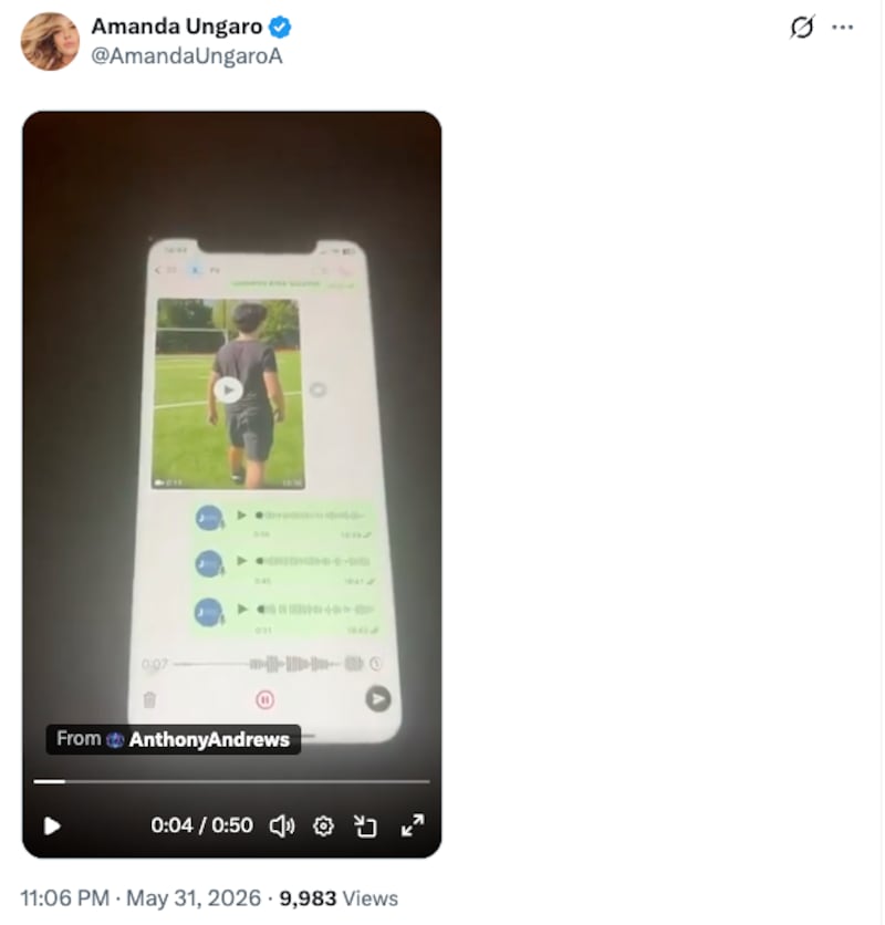 A screen shot of Amanda Ungaro's now-deleted recording.