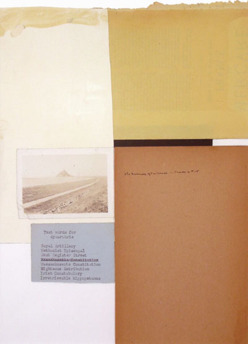 galleries/2011/12/31/janet-malcolm-free-associations-photos/Malcolm-Irretrievable-Hippopotamus_z0qihg