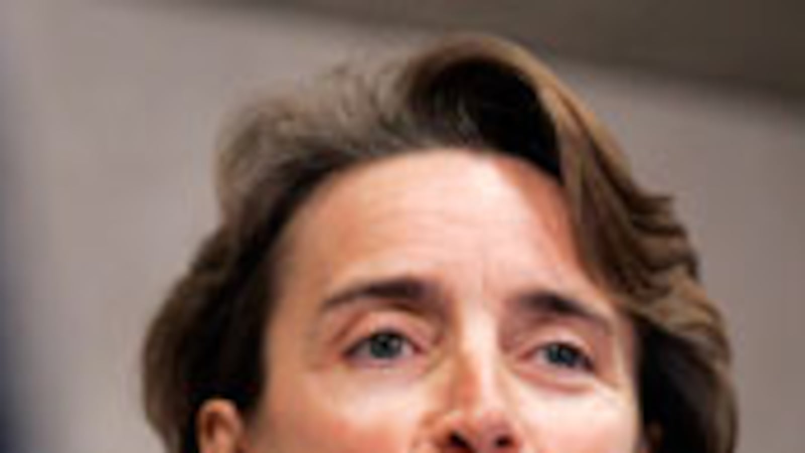 articles/2010/06/07/senate-incumbent-test-blanche-lincolns-arkansas-primary/sarlin-lincoln_105004_t8zpfh
