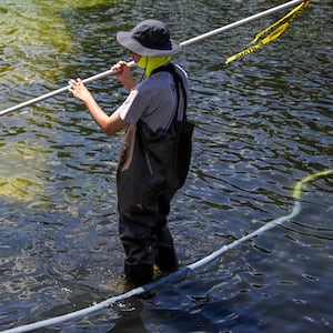 U.S. National Park Service employee works to remove algae in the Lincoln Memorial Reflecting Pool after recent renovations following a directive from U.S. President Donald Trump to paint it blue ahead of the 250th anniversary of U.S. independence, in Washington, D.C., U.S., June 20, 2026. REUTERS/Daniel Heuer