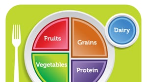 cheats/2011/06/02/michelle-obama-unveils-new-food-pyramid/food-plate-pyramid_z9wumm