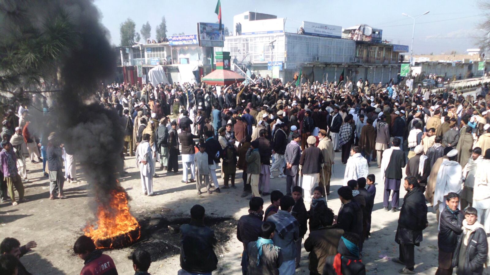 cheats/2012/02/25/2-u-s-officers-shot-dead-in-afghanistan/afghanistan-two-us-officers-shot-dead-cheat_ucknu6