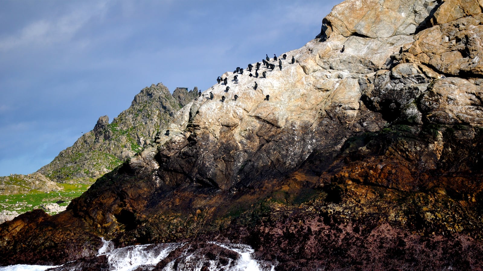 articles/2015/09/15/sail-with-whales-in-the-farallon-islands/150901-sponsor-sailing-tease_epm8uv